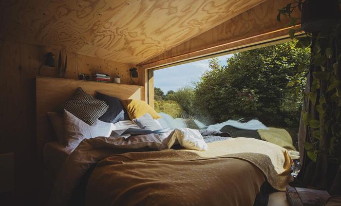 Cabin interior.  Plywood walls, an artfully unmade bed with a large window to a woodland view.